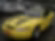 1999- 2004 Mustang GT Hood Stripe Kit